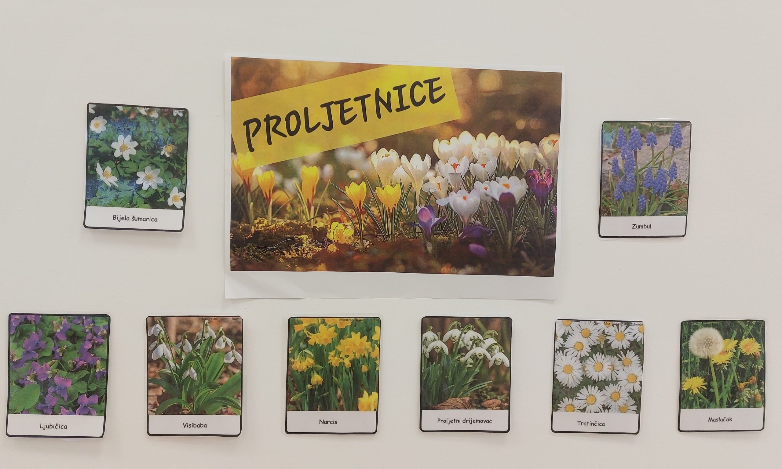 Područni odjel Ciciban Cerić – odgojna skupina Žirafice