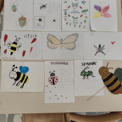 Potraga za kukcima u skupini Žirafe